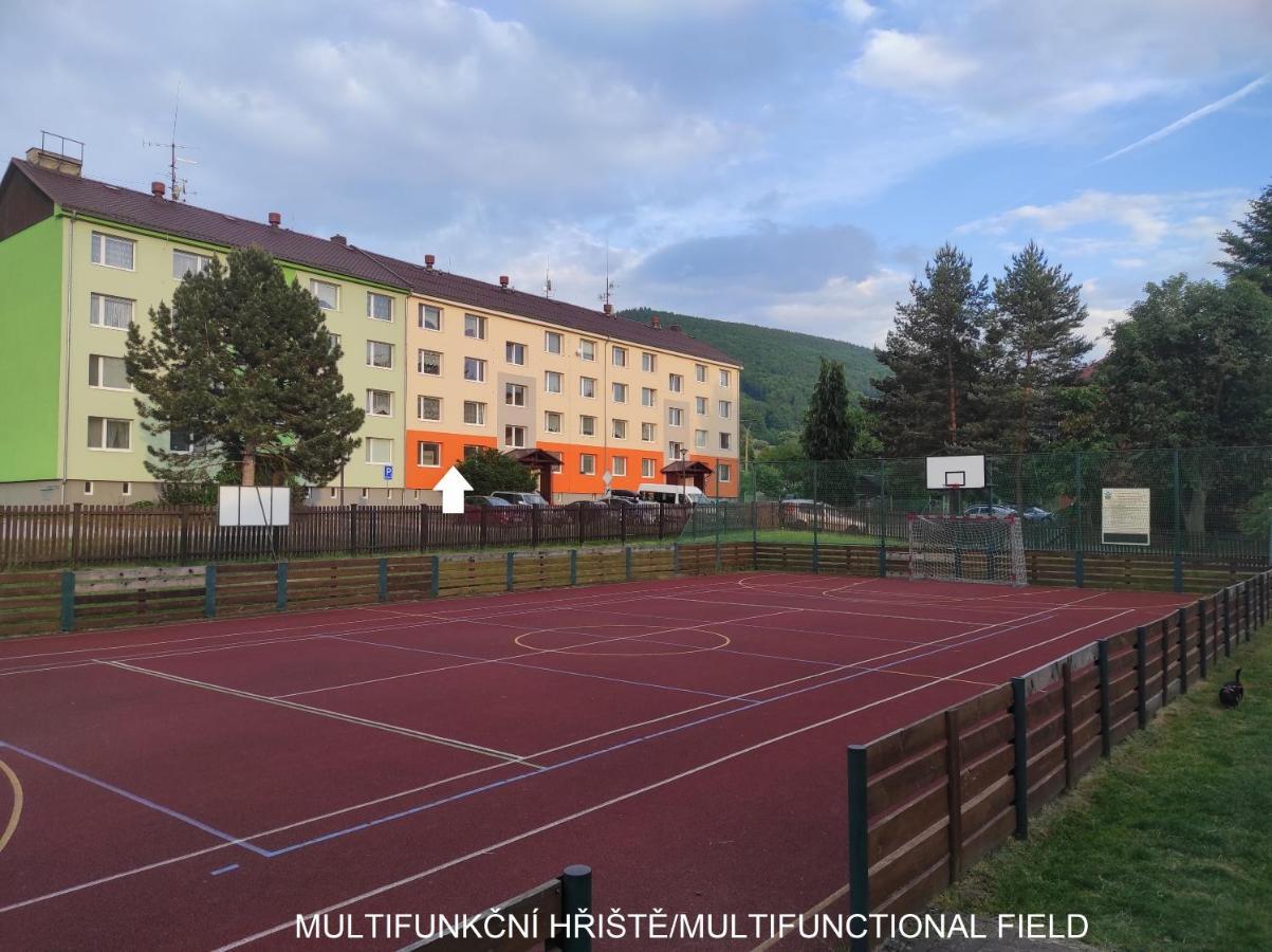 Appartamento Dobre Misto Loučná nad Desnou Esterno foto